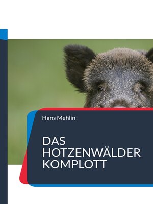 cover image of Das Hotzenwälder Komplott
